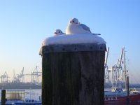 Moeven in HH Moeven in HH
